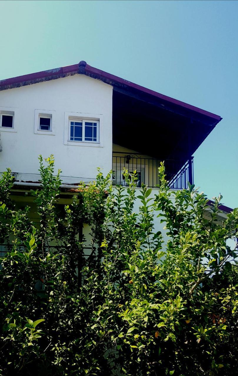 Apollo Hotel Kávosz Kültér fotó